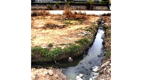 Across Much of China, Huge Harvests Irrigated with Industrial and Agricultural Runoff