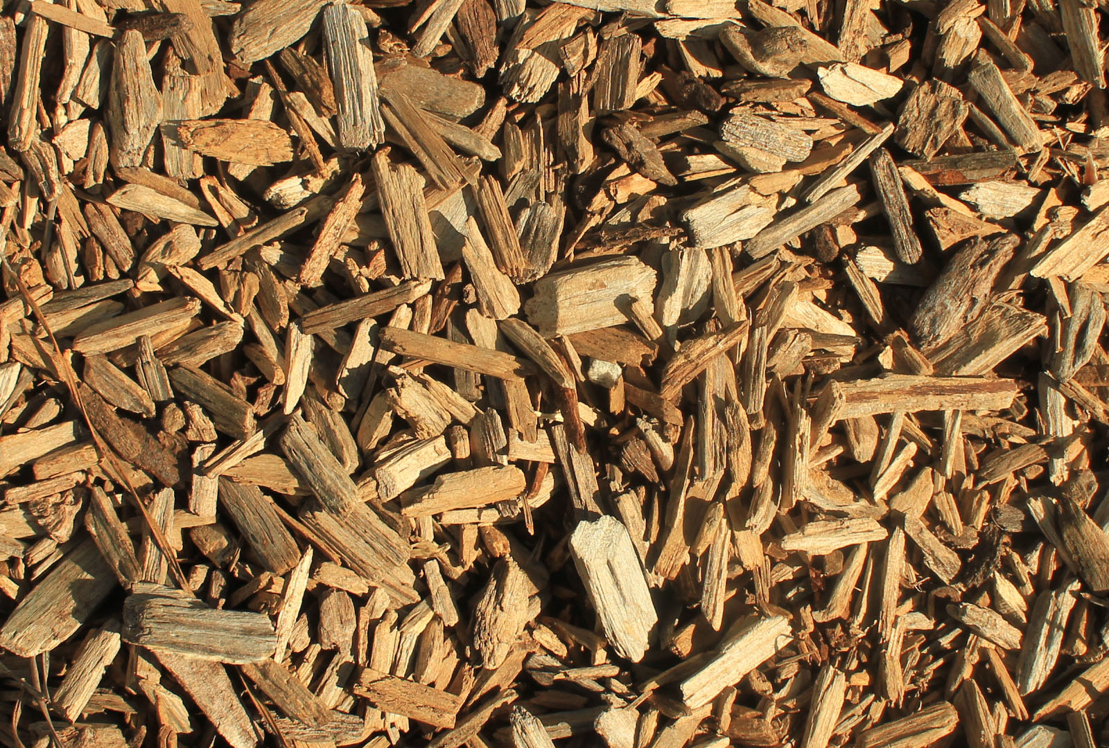 Microbes and Wood Chips Fighting Water Pollution