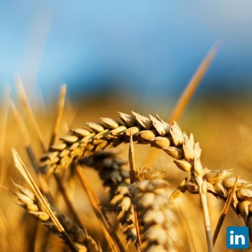 Tihomir Tasev, pesticides, seeds, fertilizers