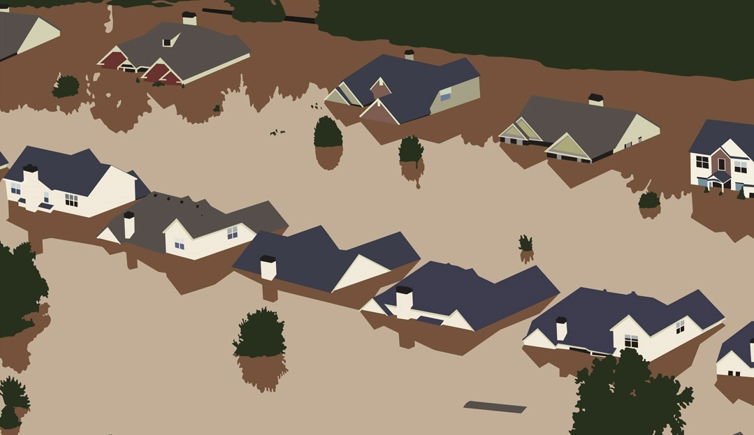Crowd Sourced Mapping for Flood Risk Assessment