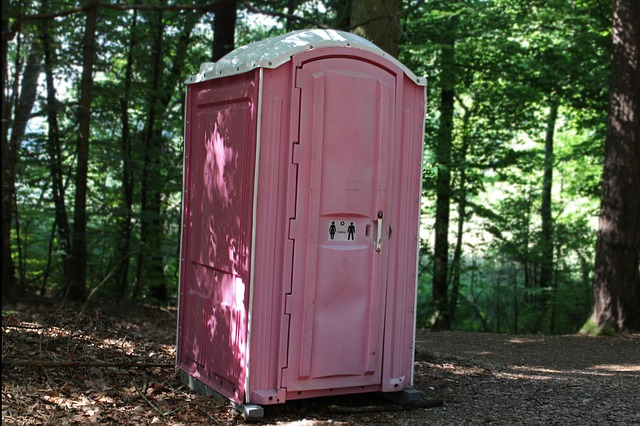 Pulluvila Has the World’s First eToilet