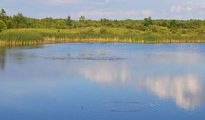 Phoslock Water Solutions Awarded $10 Mil to Remediate Lake in Brazil