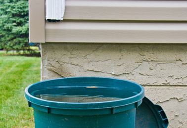 Rainwater Collectors - Philippines Report