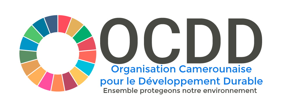 OCDD