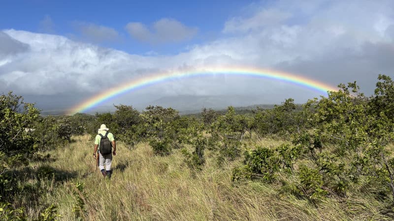 Tropical Freshwater Research Unlocks One of Nature’s Secrets