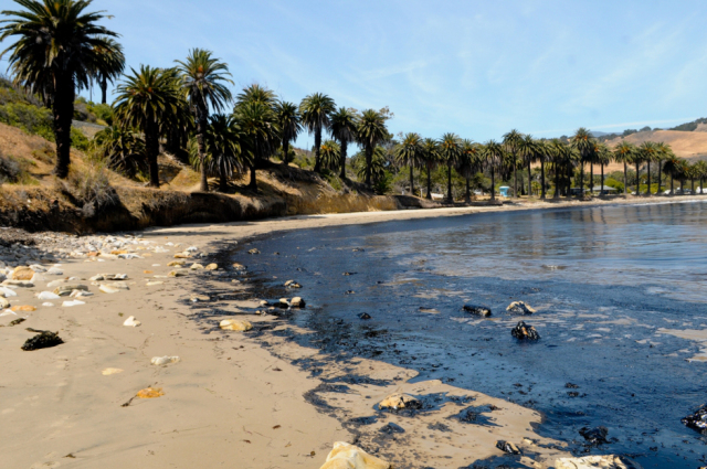 21000 Gallons of Oil Spilled on Californian Coastline