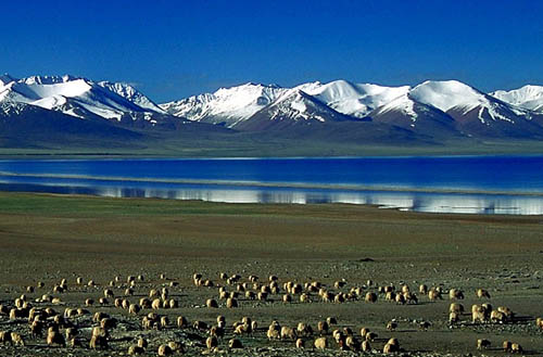 Tibet Facing Environmental Disasters