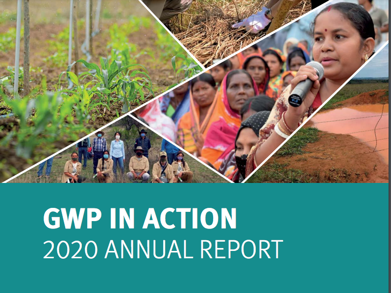 GWP in Action - 2020 Annual Report