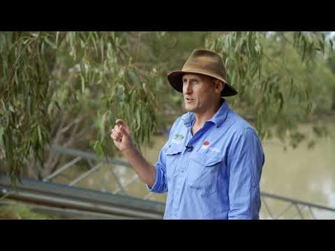 Fish-friendly diversion screens field day in Western NSW