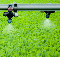 Agriculture accounts for around 70% of water use worldwide. But is it green?