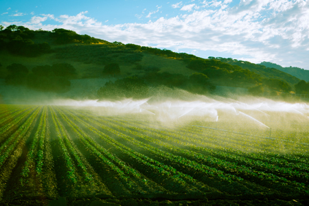 Pioneering Recycling Program Quenches California&#039;s Thirst For Agricultural Water