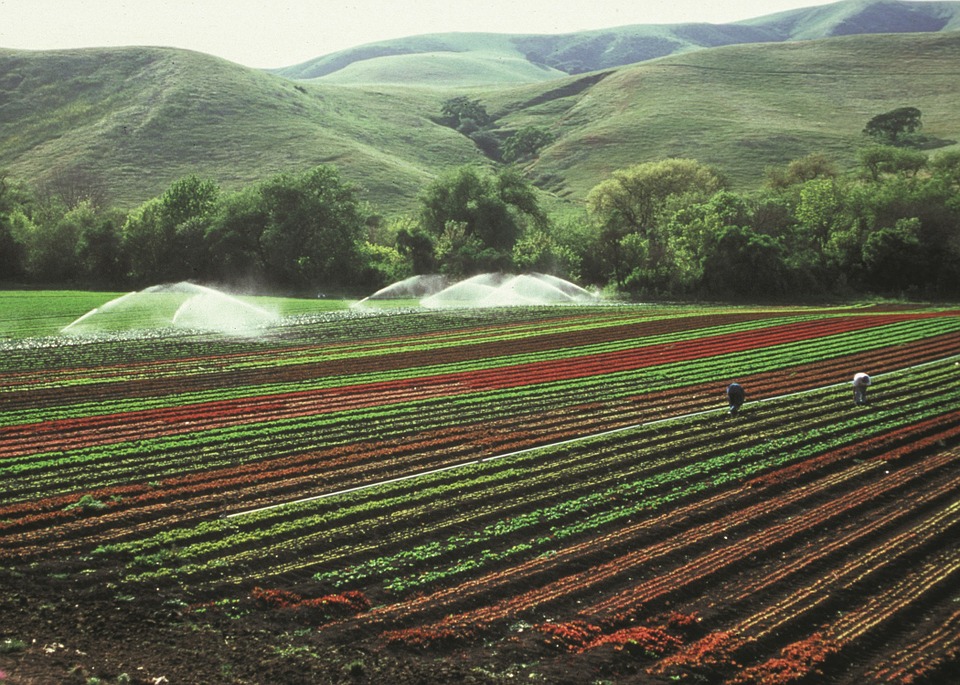 New Nitrogen Fertilizer Texture May Reduce Nitrate Levels, Make Water Safer