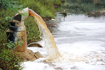 Most of India's Surface Water may be Polluted