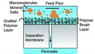 Nine Projects Selected to Share $1.1 Million for Desalination and Water Purification Research