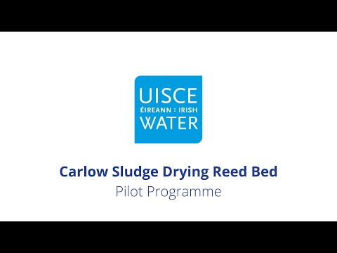 Carlow Sludge Drying Reed Bed Pilot Programme | Wastewater Treatment | Irish Water