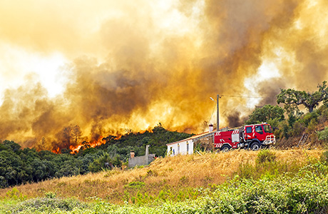 Map reveals risk to European cities from catastrophic fire damage