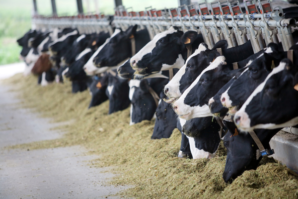 Dairy Industry Focuses on Water Reuse