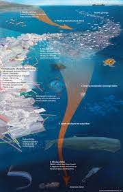 How do microplastics in the ocean accumulate?