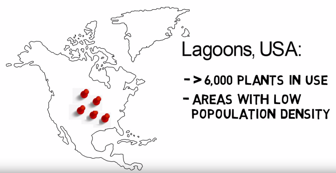 Three Signs of an Unhealthy Lagoon in Wastewater Treatment