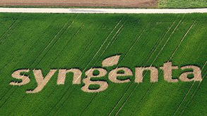 Syngenta combines operations to refocus on grower needs