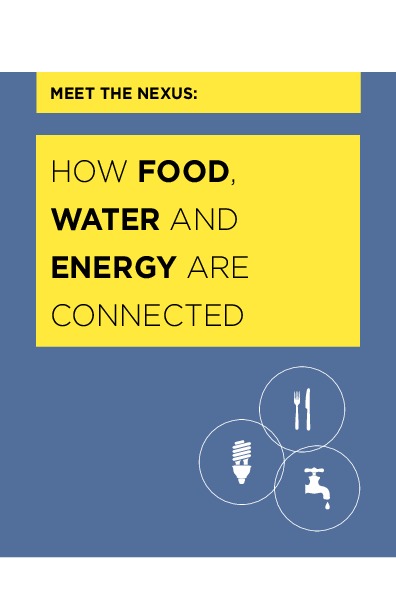 Nexun Energy Water Food 2014 
