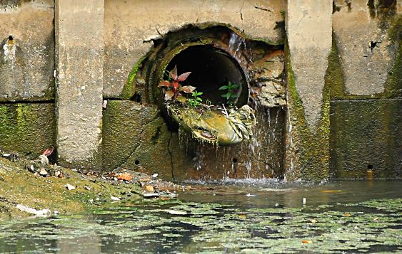 What Are The Effects Of Wastewater On The Environment The Water 