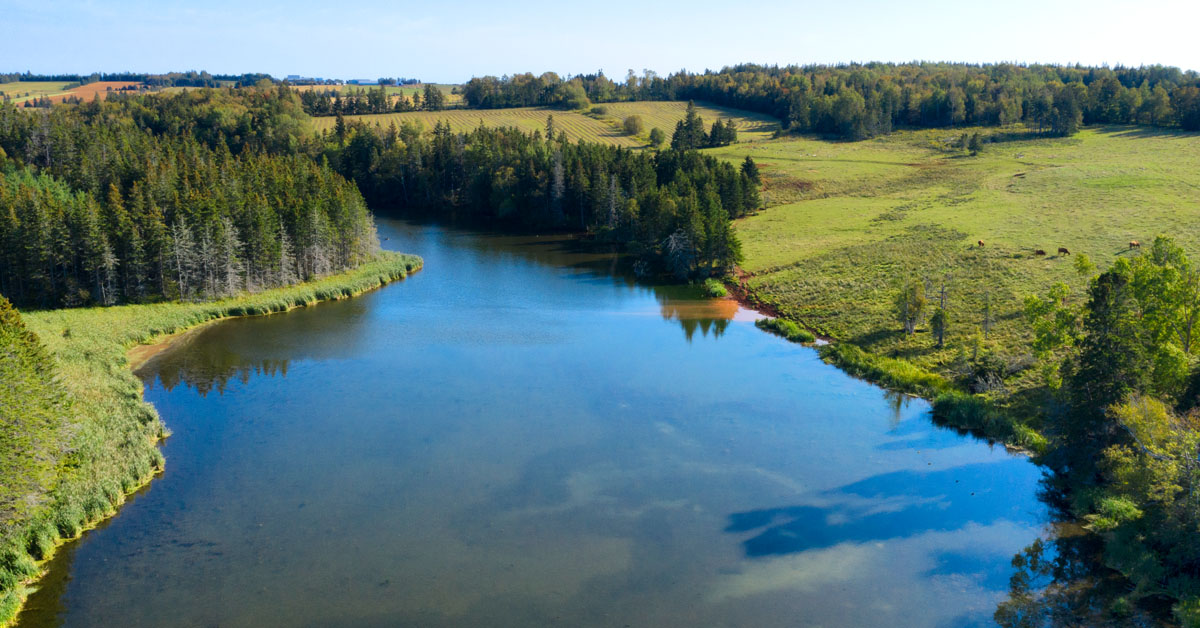 A Canada Water Agency is the first step to modernizing water management