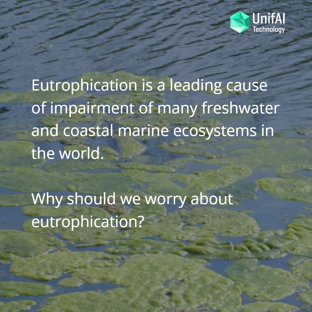 Why should we worry about eutrophication?