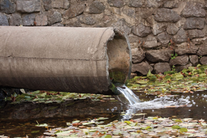 Parched Texas Town Turns to Treated Sewage as Emergency Drinking Water Source