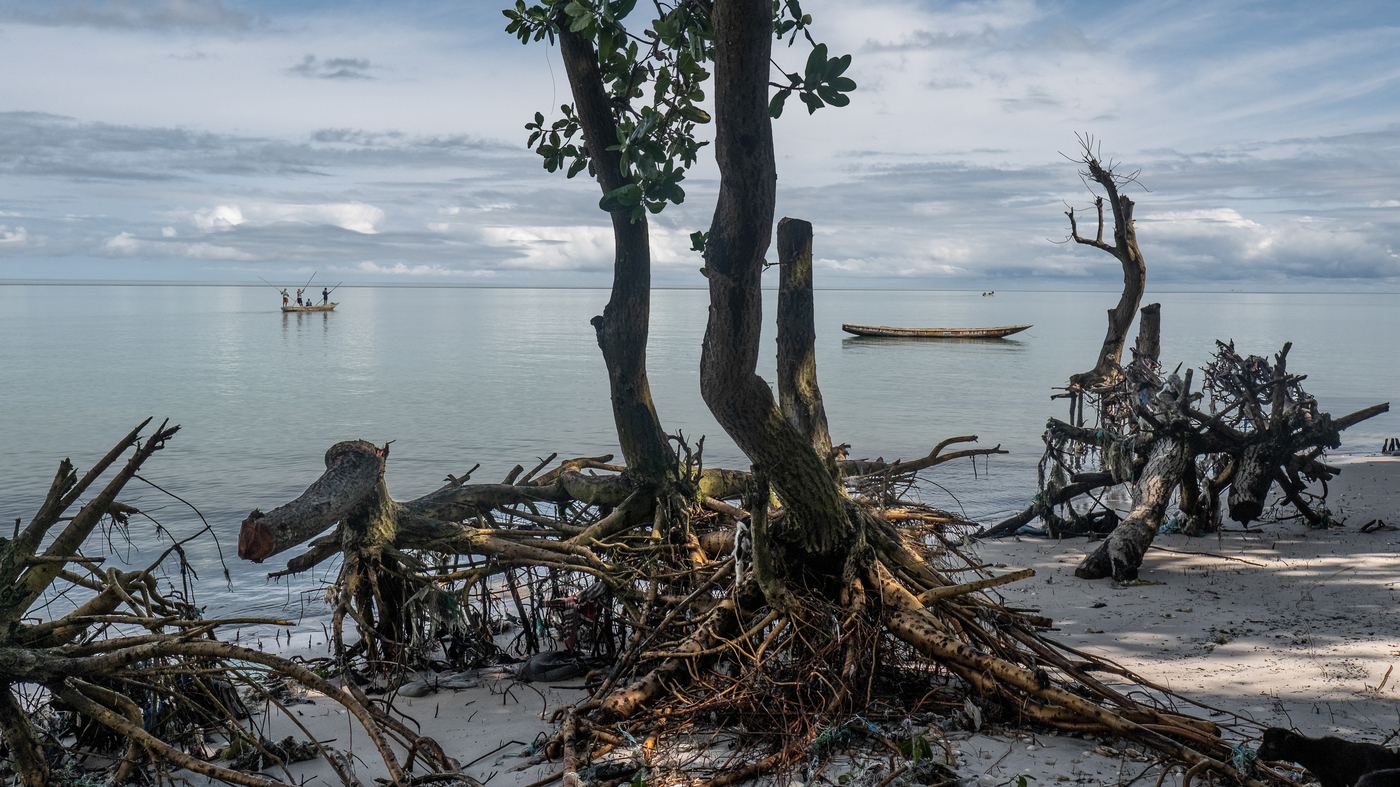 A disappearing island: &#039;The water is destroying us, one house at a time&#039;Today, Nyangai is disappearing before his very eyes, swallowed up by the...