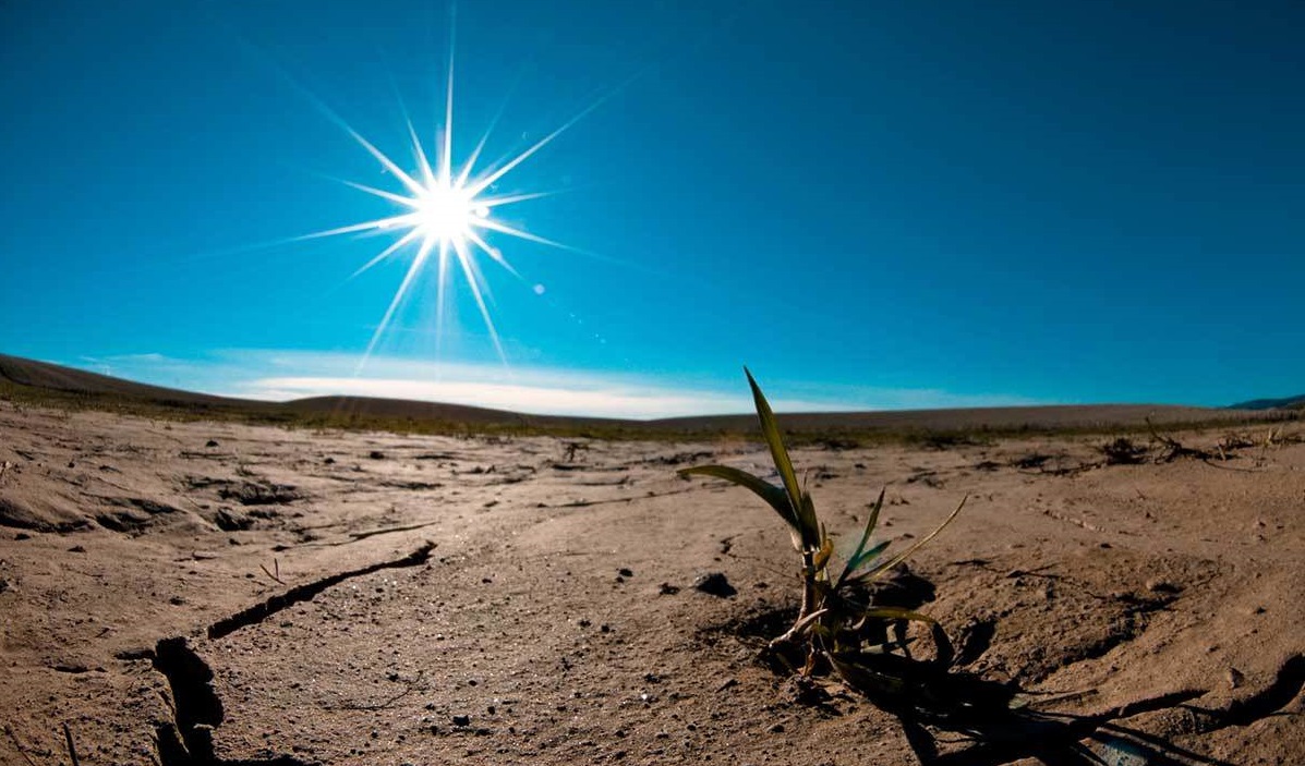 Soil Could Become a Significant Source of CO2
