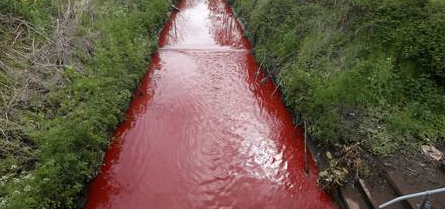 Belfast’s Blackstaff River Turns Red