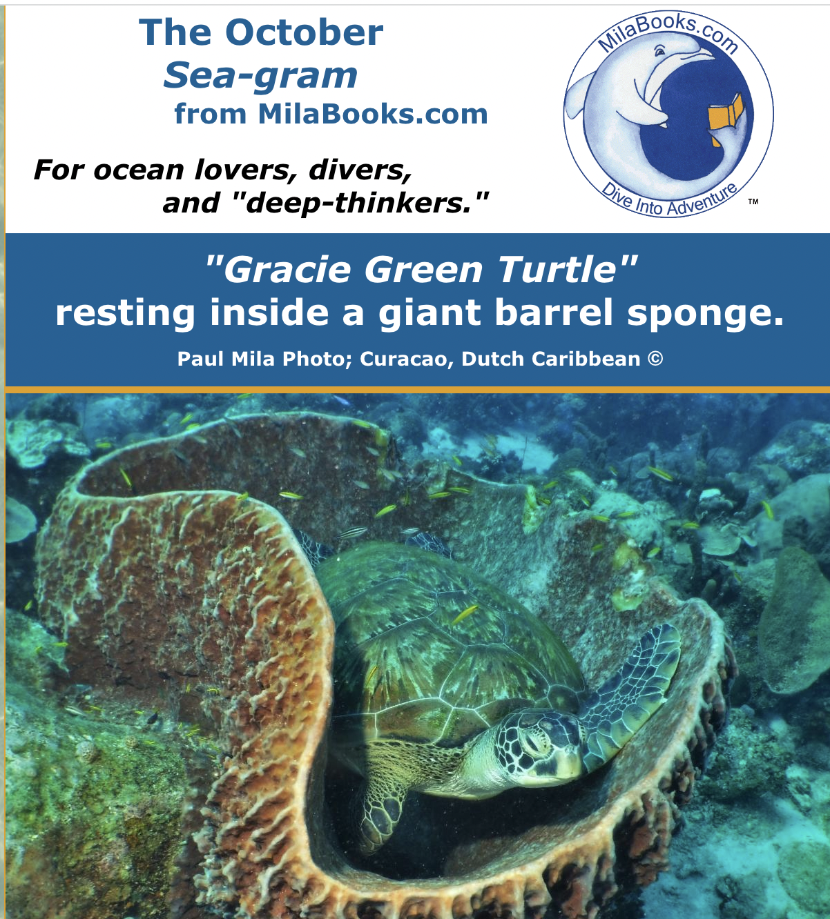 Welcome to the October 2022 Sea-gram, from MilaBooks.comWe have an action-packed Sea-gram this month. There is something for everyone!This month...