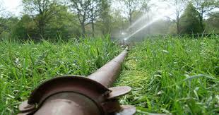 Smart Irrigation: Technologies that Use Water Efficiently
