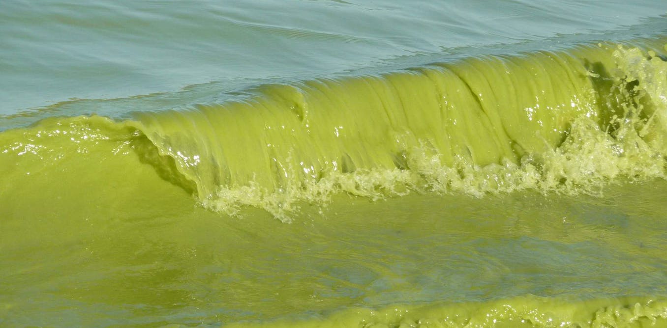 Climate change threatens drinking water quality across the Great Lakes