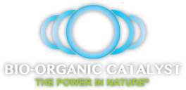 Bio-Organic Catalyst