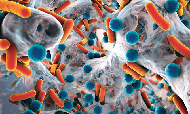 Resistance in Bacteria to Biocides