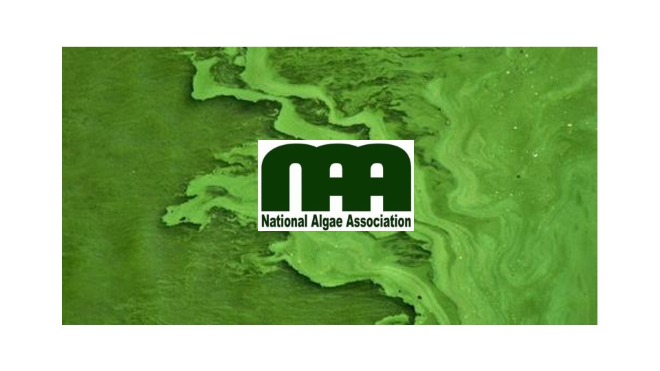 RFI - Harmful Algae Bloom Remediation Technologies