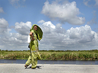 UNESCO-IHE Florida Program - The Water Professionals