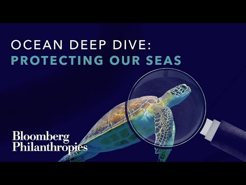 What We Can Do To Protect the Ocean | Bloomberg PhilanthropiesThrough collective action, we can protect our ocean for generations to come.This #...