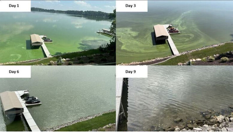 New locally developed technology can clear algae from lakes