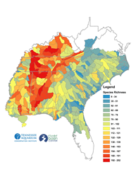 The Masterplan to Save Our Nation's Richest Rivers