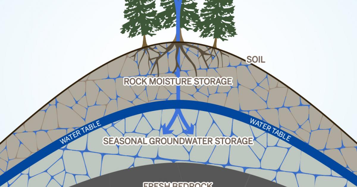 Hidden “Rock Moisture” Could Explain Forest Surviving Drought