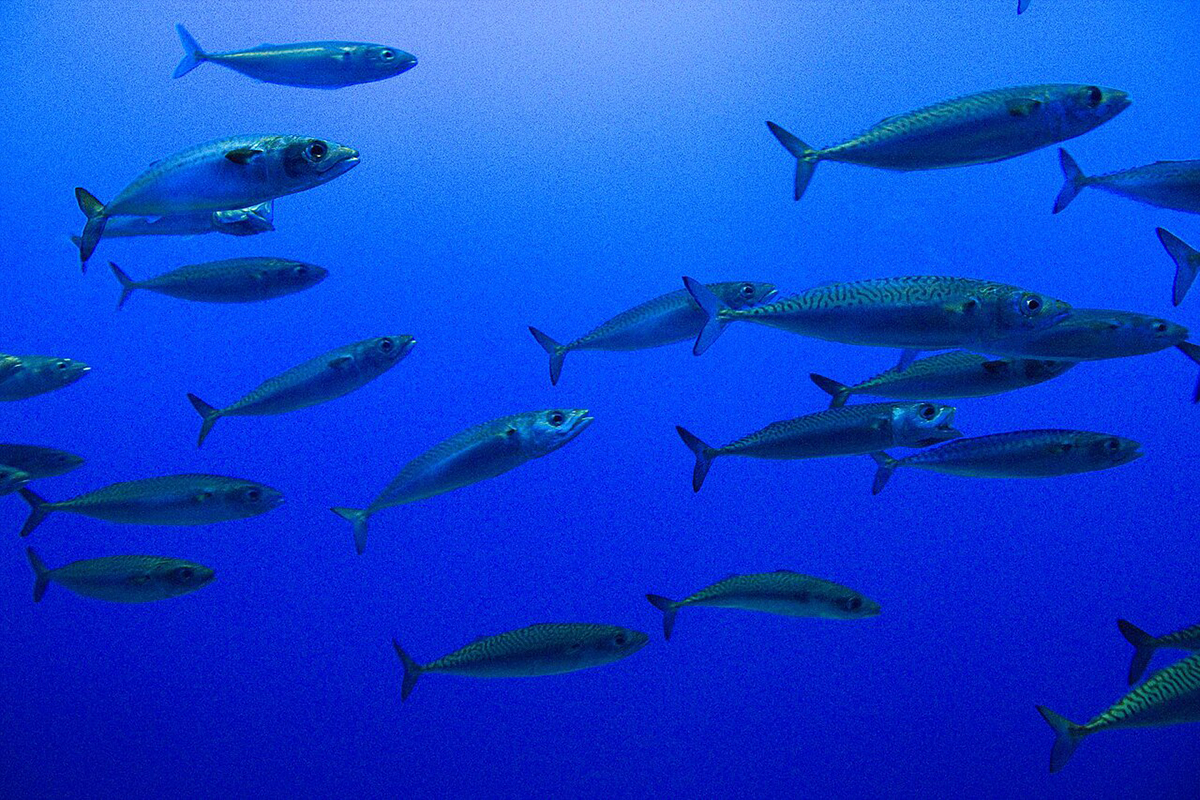This Week in Water for May 11, 2025