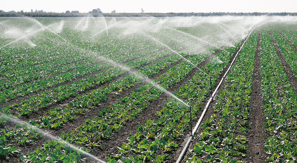 Raising Irrigation Capacity 