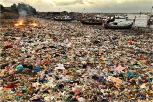Tackling Plastic Pollution: From deep-sea sediment to Mount Everest, no area on the planet Earth is left untouched by plastic pollution. With th...