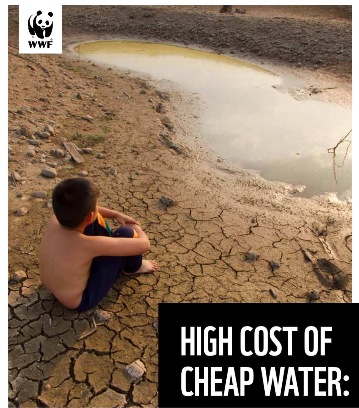 The High Cost of Cheap Water