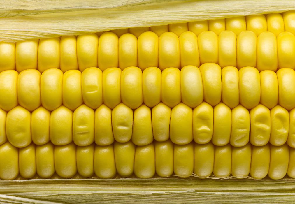 All the GMOs Approved In the U.S.  --  See all the GMOs you may already be eating