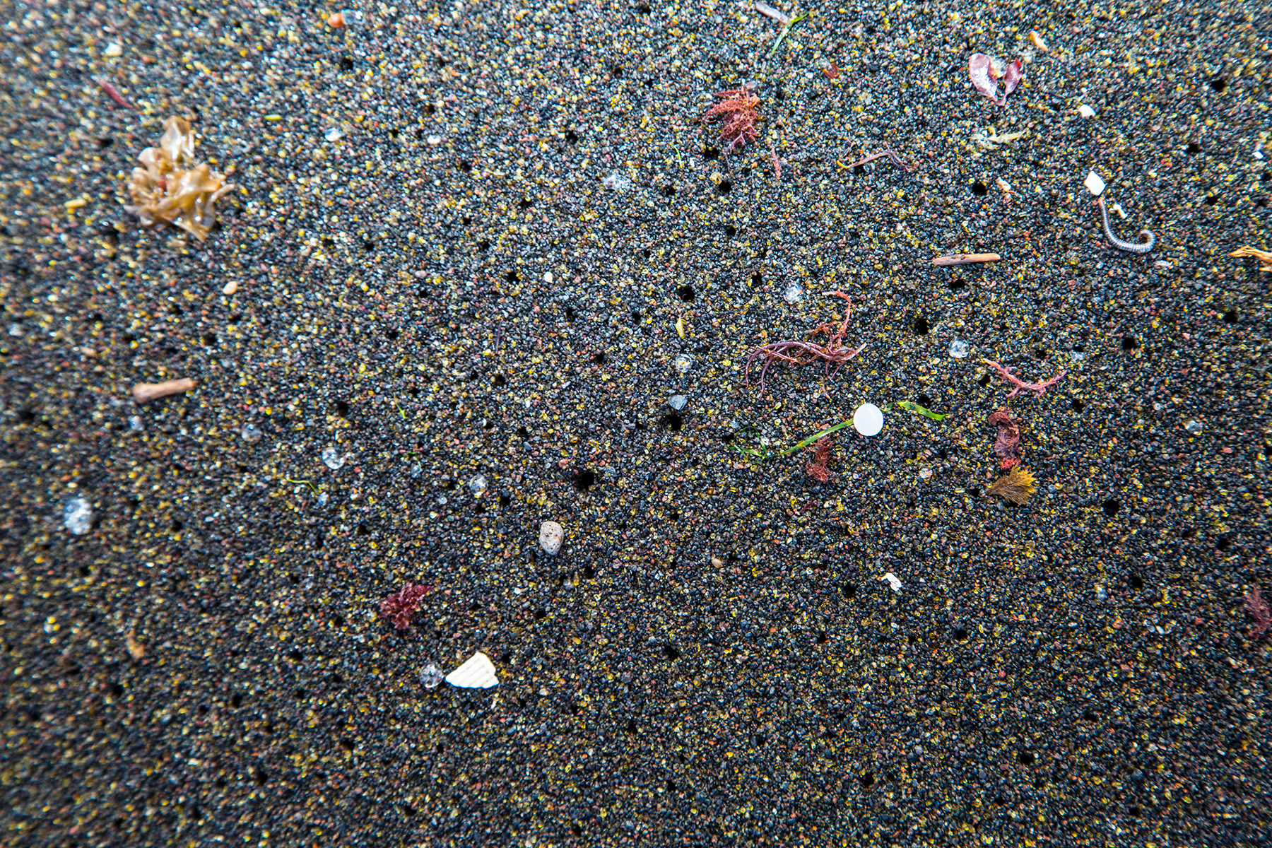 Small Plastic Pollution on SA Beaches