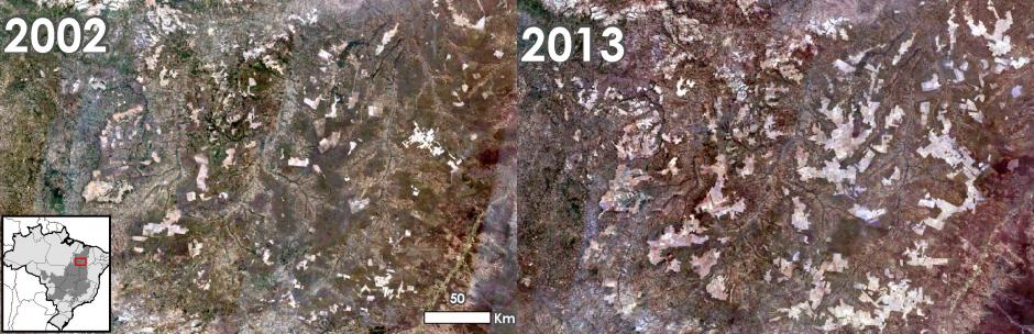 Agriculture Expansion Could Reduce Rainfall in Brazil’s Cerrado